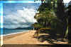 79PalmCove.jpg (66356 Byte)