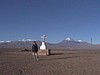 IMGA0028.JPG